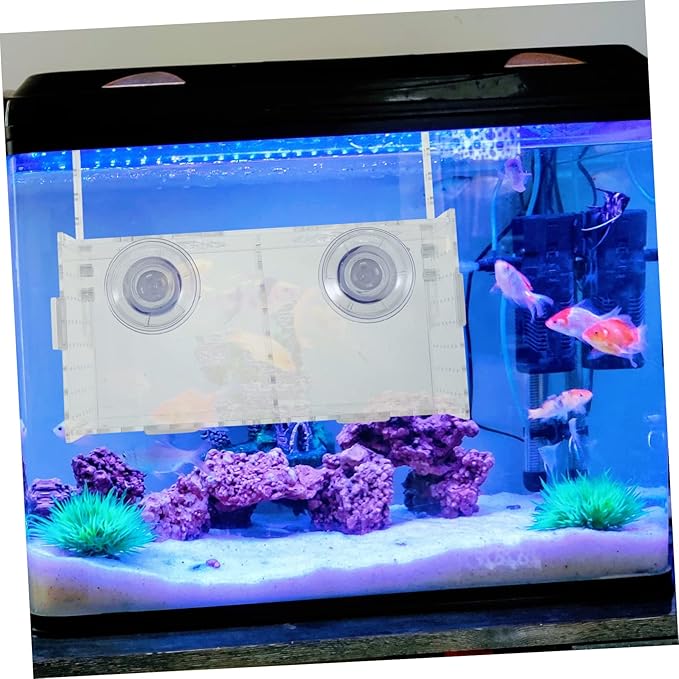 KESYOO Fish Breeding Box Cups Acrylic Isolation Tank for Fish Tank Lightweight and Portable Separator Breeding Accessory