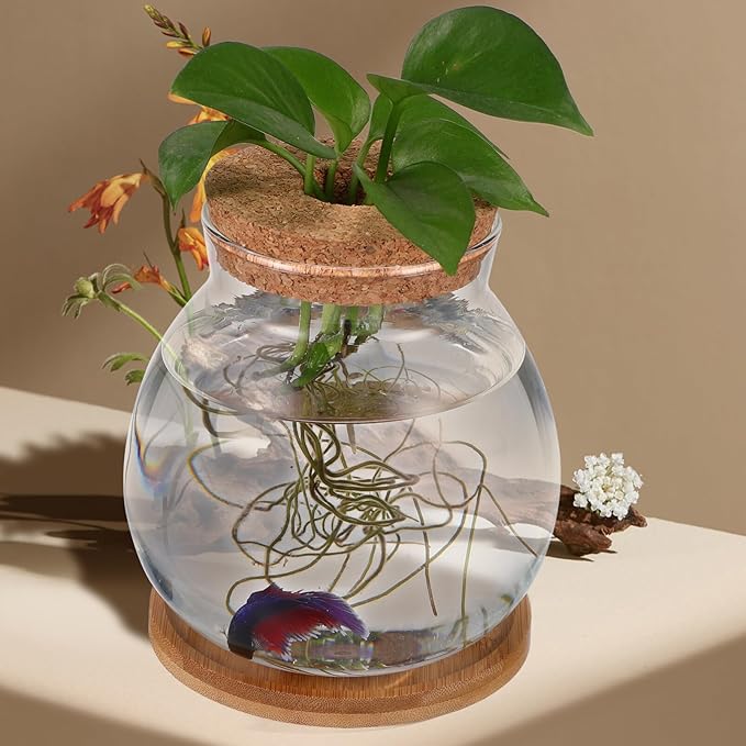 Desktop Fish Tank Small Glass Fish Bowl with Cushion 5.51X5.11X1.18In Hydroponic Plant Terrarium Betta Bowl for Home Office Decoration