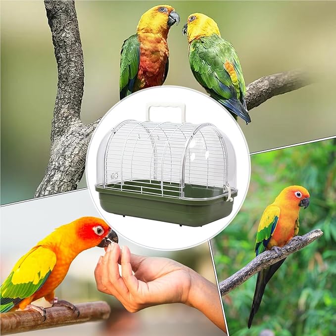 Travel Cage For Birds – Portable Carrier | Full View Cockatiel Cage With Handle, Portable Bird Carrier For Parakeet, Conure, Cockatiel, Canary, Lovebird, Finch, Ideal Living Room, Indoor, Outdoor, Par