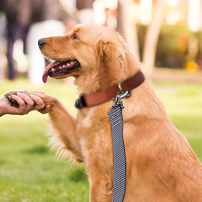 Hi Kiss Dog/Puppy Obedience Recall Training Agility Lead - 15ft 20ft 30ft 50ft 100ft Training Leash - Great for Training, Play, Camping, or Backyard(50ft,Black_White)