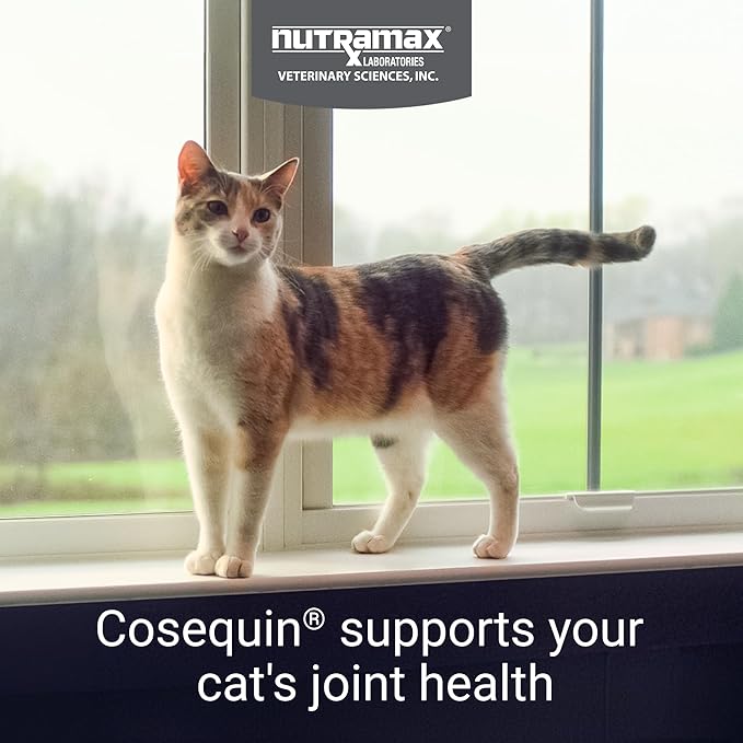 Nutramax Cosequin for Cats Joint Health Supplement,Contains Glucosamine for Cats,Plus Chondroitin,Supports Healthy Joints,for-All Breeds and Sizes,Sprinkle Capsules,55 Count (Pack of 2)