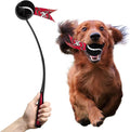 Littlearth NFL Pet Ball Launcher