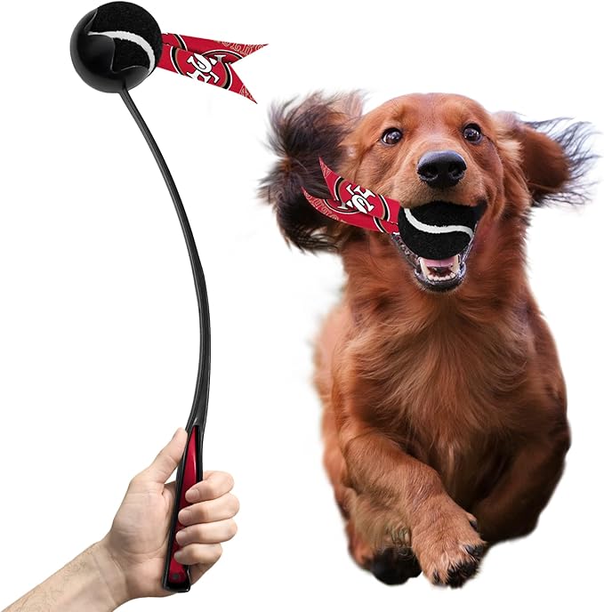 Littlearth NFL Pet Ball Launcher