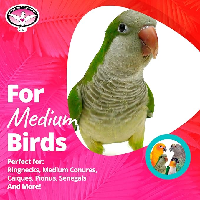 Super Bird Creations SB535 Mexican Hat Dance Bird Toy, Medium Bird Size, 10" x 5.5"