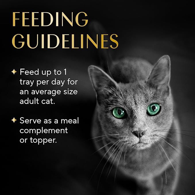 Sheba Selections Filets in Broth, Adult Cat Food Wet Recipe, Meal Complement, Chicken Recipe, 1.3 oz. Cups, 12 Count