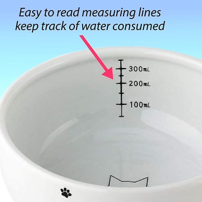 Necoichi Elevated Cat Food & Water Bowl – Ceramic Raised Cat Bowls for Whisker & Neck Fatigue, Dishwasher Microwave Safe – Anti Vomiting Ergonomic Design, Pet Bowls for Food & Water (Cats, Regular)