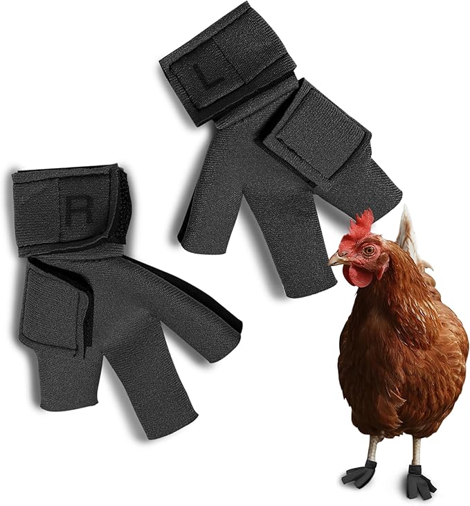 Chicken Shoes for Injured Feet – Protective Neoprene Footwear for Chicken, Open-Toe Design for Bumblefoot Relief, Made in USA - Large, 4" Max. Inside Width, Gray