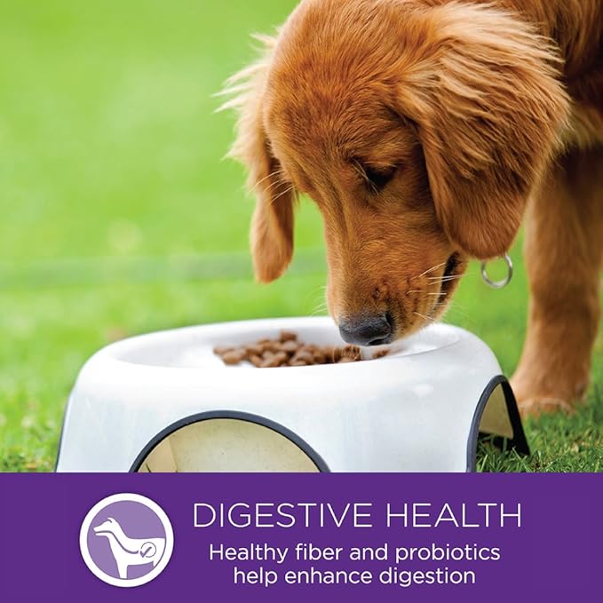 Wellness Complete Health Large Breed Adult Dry Dog Food, Wholesome Grain Kibble, Natural, Chicken, Brown Rice and Salmon Meal Recipe, 30 lb Bag