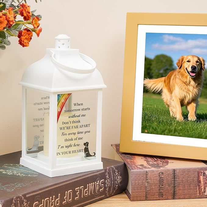 Dog Memorial Gifts with Remote - Sympathy Bereavement Gifts for Loss of Dog, Rainbow Bridge Memorial Lantern for Grieving Pet Owner