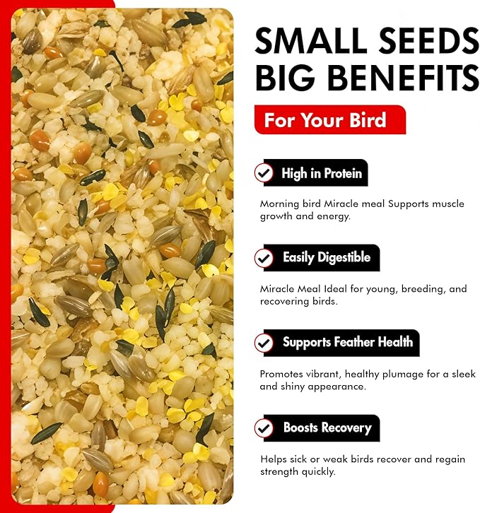 Morning Bird Miracle Meal 1.5 lbs – Vitamin Fortified Soft Bird Food for Birds - All-Natural No Artificial Dyes, Flavors or preservatives - Supports Feather Strength, Breeding & Overall Wellness