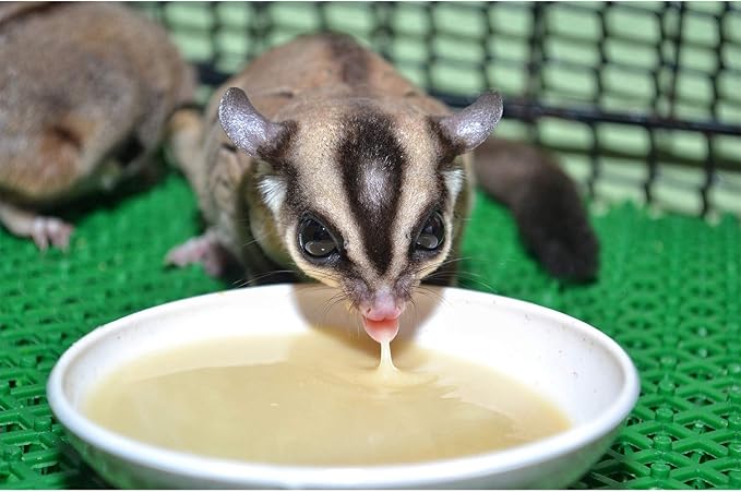 Gliderade Nectar - Vitamin-Enriched Healthy Nectar Supplement - Powdered Mix - Provides Necessary Carbohydrates for Sugar Gliders (4 oz.)