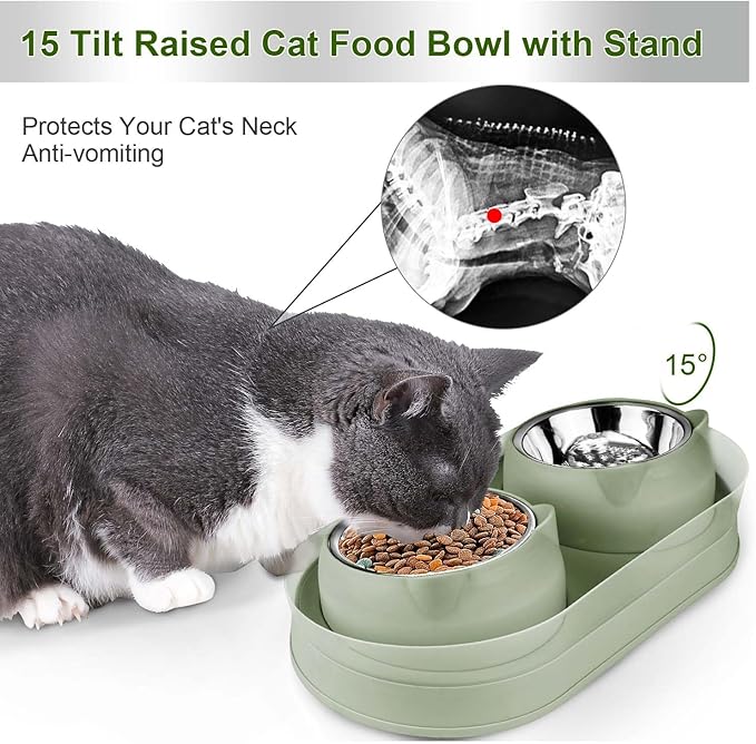 Elevated Raise Tilted Cat Food Bowls,with Stand Stainless Steel, Anti Vomiting, Double Cat Food and Water Bowl Set (Green)
