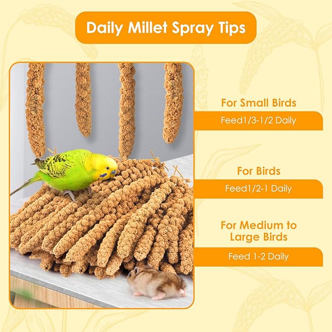 KATUMO 2LB Spray Millet Treat for Pet Birds, Natual Sun-Dried Bird Millet Parrot Food for Parakeet Budgie Cockatiel Finches Lovebird Conure Parrots Hamster