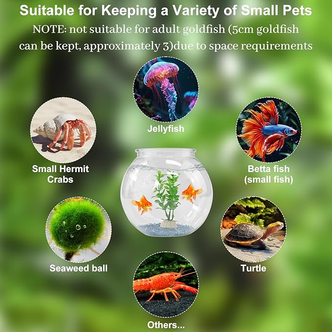 DARENYI Plastic Goldfish Fish Bowl Drum Round Crystal Clear Aquarium Fish Tank Starter Kits with 1 Artificial Aquatic Plant and 1 Bag Mini Ornamental Stones (0.72Gallon/ 2.75L)