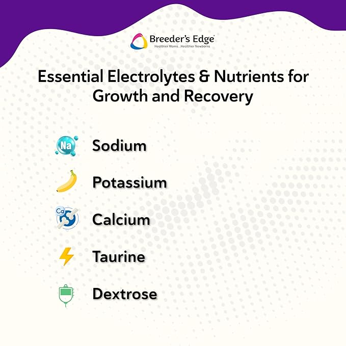 Breeder’s Edge Kitten Lyte, Electrolyte Supplement for Kittens and Nursing Cats, Supports Hydration, Energy & Recovery, Chicken Soup Flavor, 300g