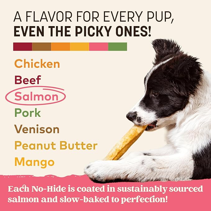 Earth Animal No Hide Chews - Long Lasting Rawhide Free Medium Dog Chews Rolls, Salmon - 2 Count