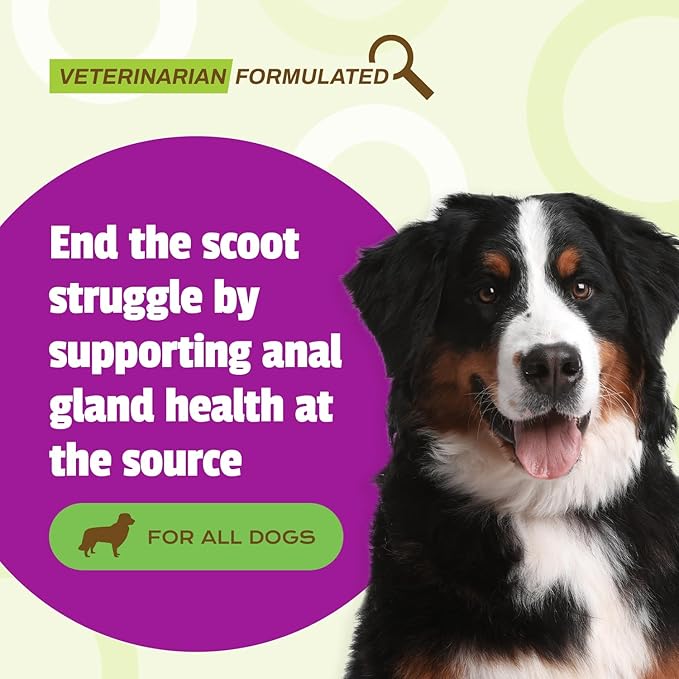 Pet Naturals Scoot Bars for Dogs – 30 Chews, Dog Anal Gland Supplement with Fiber & Pumpkin Blend for Scooting Support, Duck Flavor Soft Chew Bars for Stool Quality & Digestive Balance, All Breeds