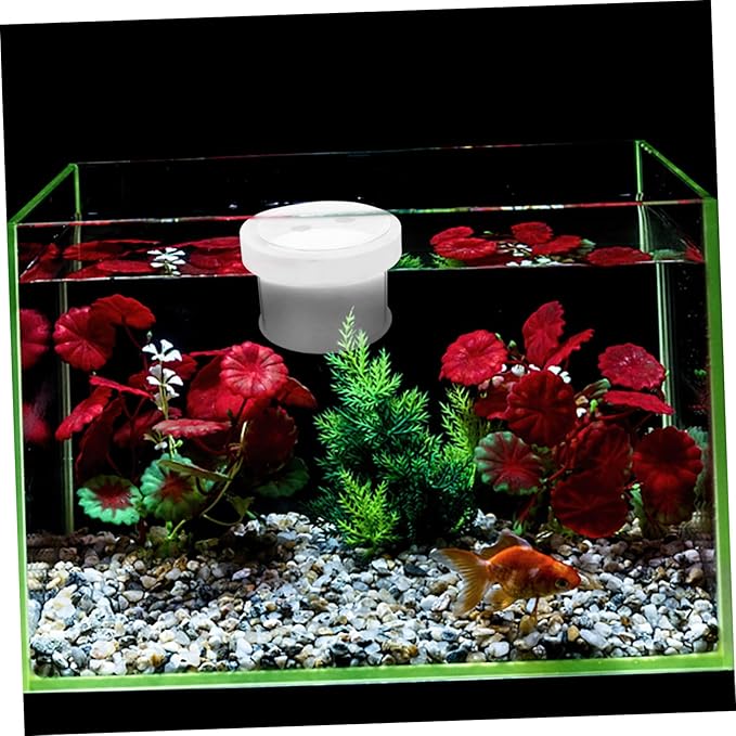 NOLITOY 2pcs Fish Tank Floating Breeding Box Acrylic Isolation Container Openable Lid Water Permeable Design for Small Fish and Shrimp for Aquatic Hatchery