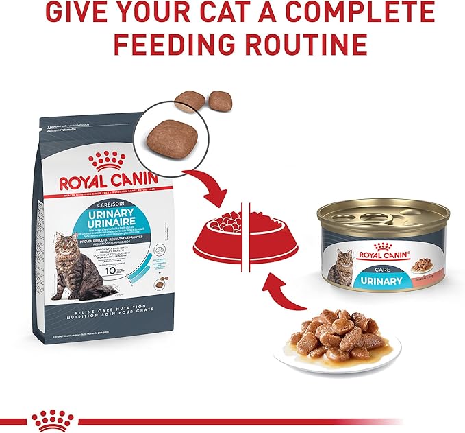 Royal Canin Feline Care Nutrition Urinary Care Adult Dry Cat Food, 3 lb Bag