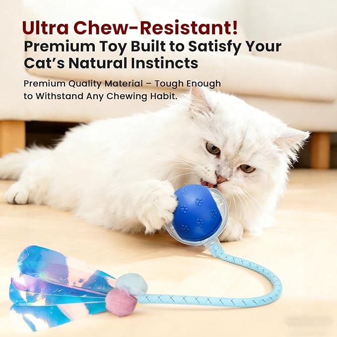 Rocfish Durable Interactive Cat Toys for Indoor Cats, Smart Automatic Cat Chase Ball Toy, Upgraded Speedy Tail Kitten Toy for Bored Indoor Adult Pets (NEW Blue)