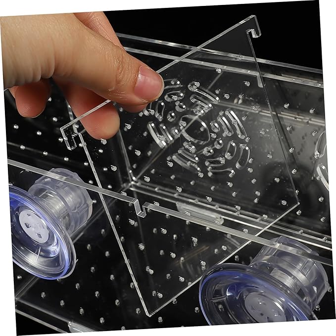 KESYOO Fish Breeding Box Cups Acrylic Isolation Tank for Fish Tank Lightweight and Portable Separator Breeding Accessory