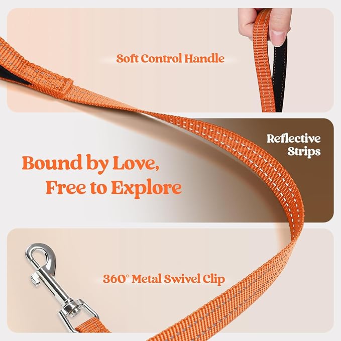 rabbitgoo Dog Harness Small Sized and Leash Set, Step in Soft Light Puppy Vest, Breathable Mesh Pet Harness, Reflective for Safe Easy Walking, Orange XXXS
