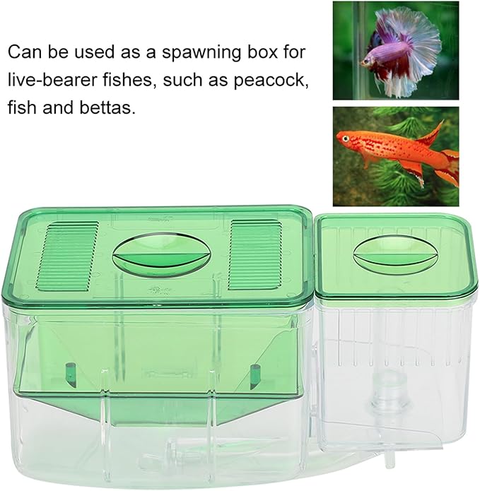 FILFEEL Aquarium Breeding Box for Isolation of Newborn Fish and Shrimp - DoubleLayer Incubator for Small Life