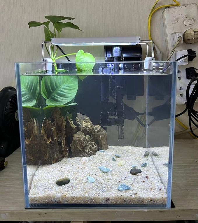 Small Nano Tall Rimless Tank, Glass Fish Tank, Betta Tank (2 Gallon 7.8x7.8x7.8inch/20x20x20cm)