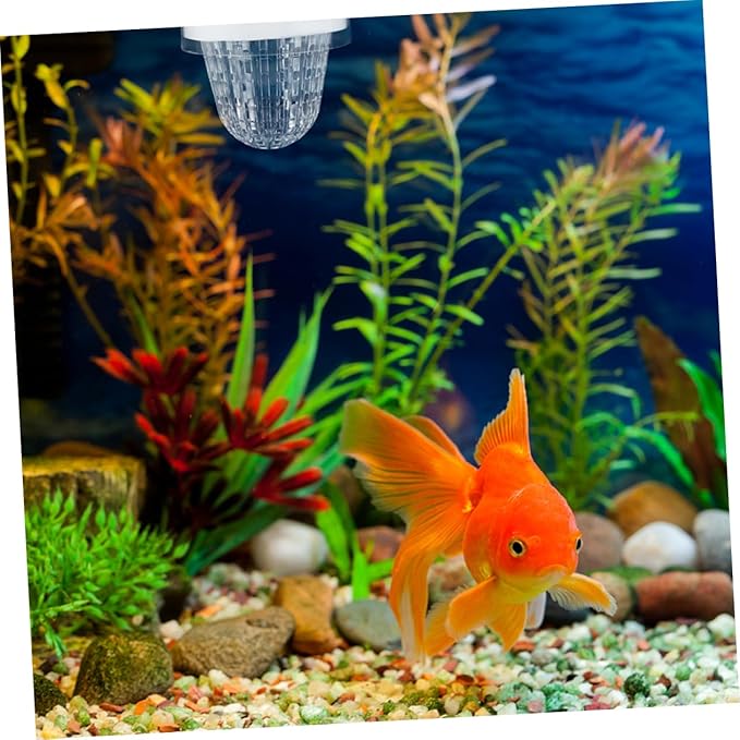 Toyvian 2pcs Aquarium Breeding Box Floating Incubator for Fish Tank Transparent Isolation Box for Guppies Easy Installation High-Efficiency Isolation Safe Environment for Fry and Mother