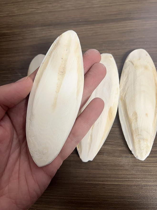 4 pcs Cuttlebone for Birds Tortoises Turtles Snails Cockatiels Parakeets Budgies Reptiles Fish Small Animals (4.5-5.5inch/12-14cm)