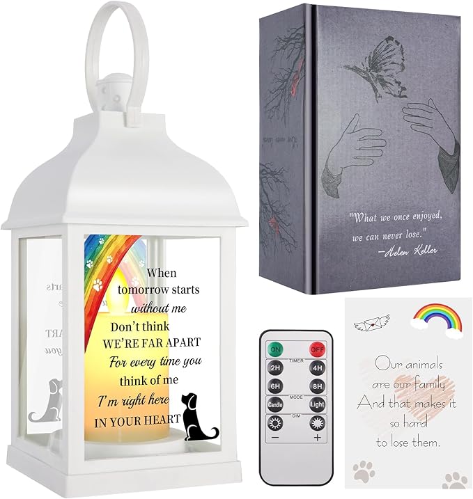 Dog Memorial Gifts with Remote - Sympathy Bereavement Gifts for Loss of Dog, Rainbow Bridge Memorial Lantern for Grieving Pet Owner