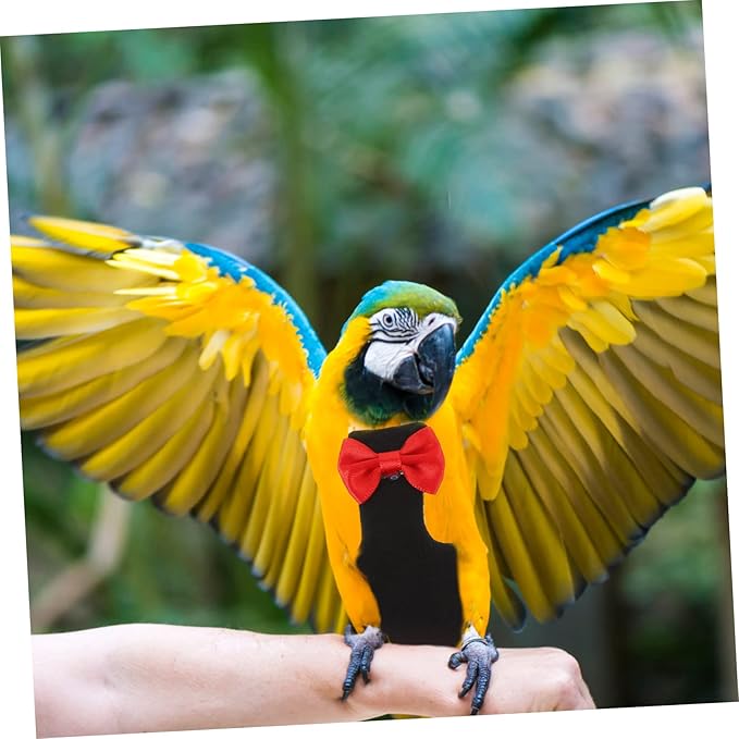 Breathable Parrot Diaper Flight Suit Washable Bird Nappies for Budgies and Cockatiels Lightweight and Skin-Friendly Design for Outdoor Use and Bird Lovers