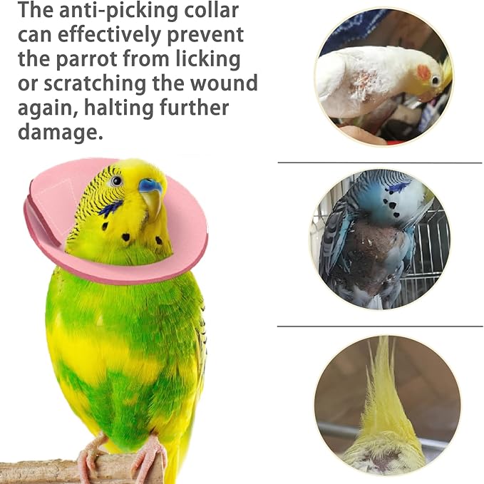 4 Pcs Bird Cone Collar, Pet Parrot Anti-bite Elizabethan Collars, Bird Collars for Feather Plucking for Lovebird Budgerigar Cockatiel Cockatoo Parrots (Mix Colors)
