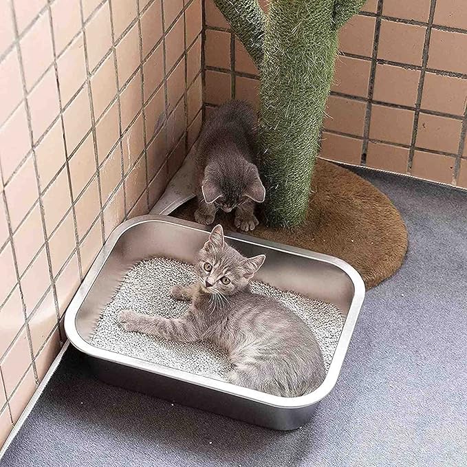 Stainless Steel Litter Box for Cat and Odor Control Stick Easy to