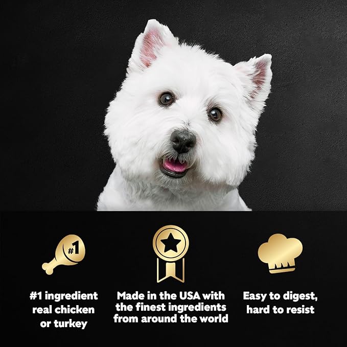 Cesar Filets in Gravy Adult Wet Dog Food Variety Package,Poultry Lovers with Rotisserie Chicken Flavor and Turkey Recipe,3.5 oz. Easy Peel Trays,12 Count (Pack of 4)