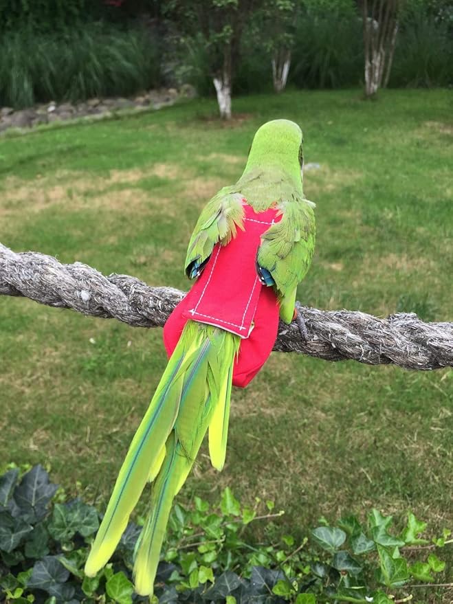 Parrot Diaper Bird Flight Suit, Bird Clothes, Waterproof Lining Pet Bird Supplies (XL, Red)