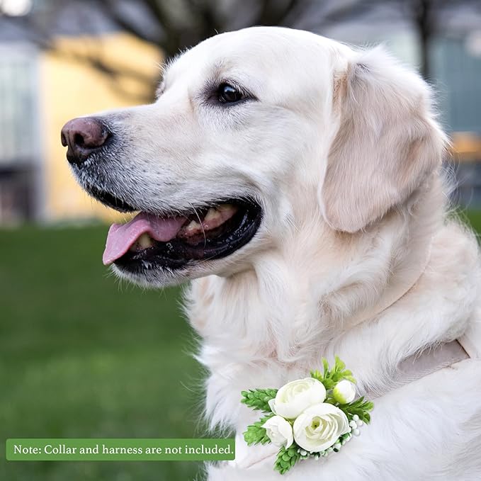 Pet Collar Flower Dog Wedding Flower Bow Tie Removable Floral Accessory for Dog Collar Elegant Rose Charm for Wedding Ceremony Puppies Cats Grooming, Pet Photo Prop (White)