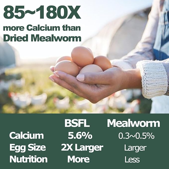 2LB Dried Black Soldier Fly Larvae for Chickens Treats Bulk, Non GMO BSF Larvae 85X More Calcium Than Dried Mealworms for Laying Hens, Chicken Worms for Wild Birds