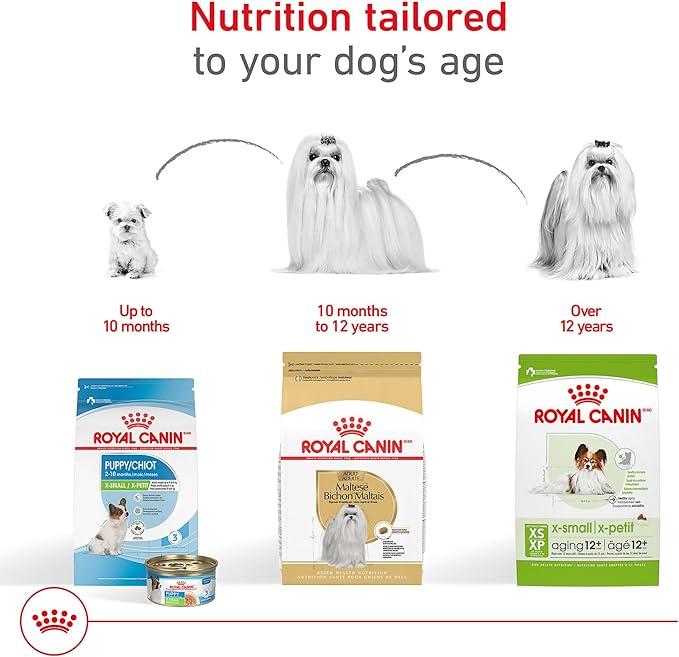 Royal Canin Breed Health Nutrition Maltese Adult Dry Dog Food, 10 lb Bag
