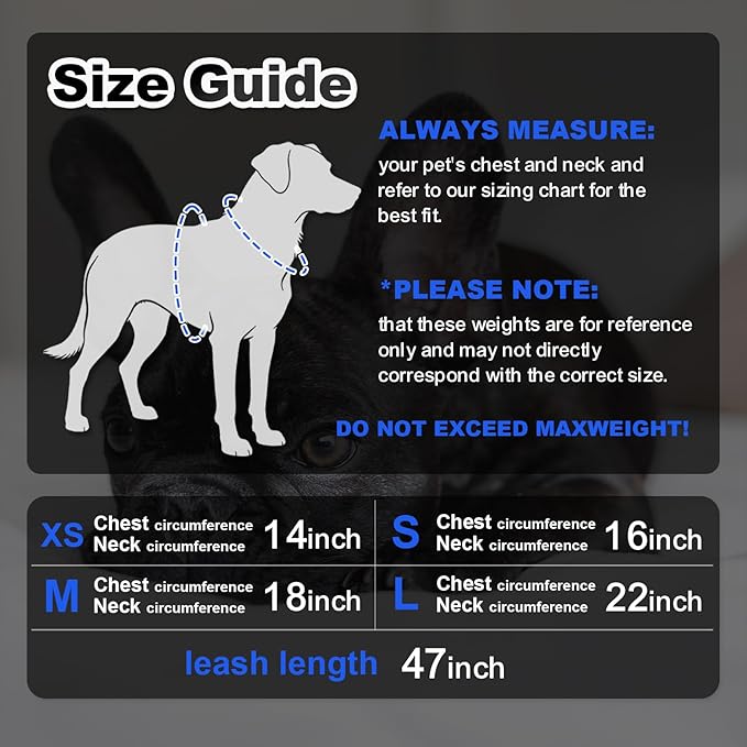 Dog Harness Medium Sized Dogs, Puppy Harness and Leash Set for Training, Running, Walking, Suitable for Small and Medium Dog Vest, Black, L