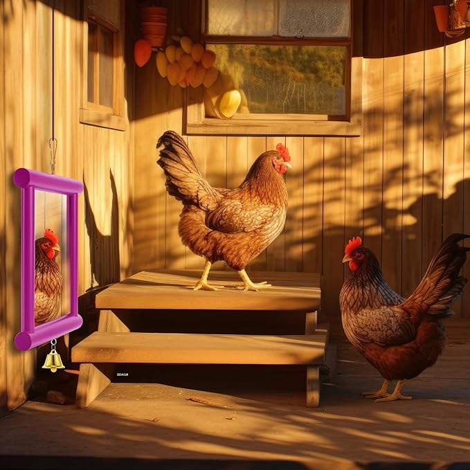 Sadnyy 1 Pcs Chicken Mirror Toys Extra Large 10.6 x 10 Inch Big Hanging Swing Mirror with Bell Wooden Pecking Toy for Hens Birds Parrots Coop Roosters (Square,Rose Red)