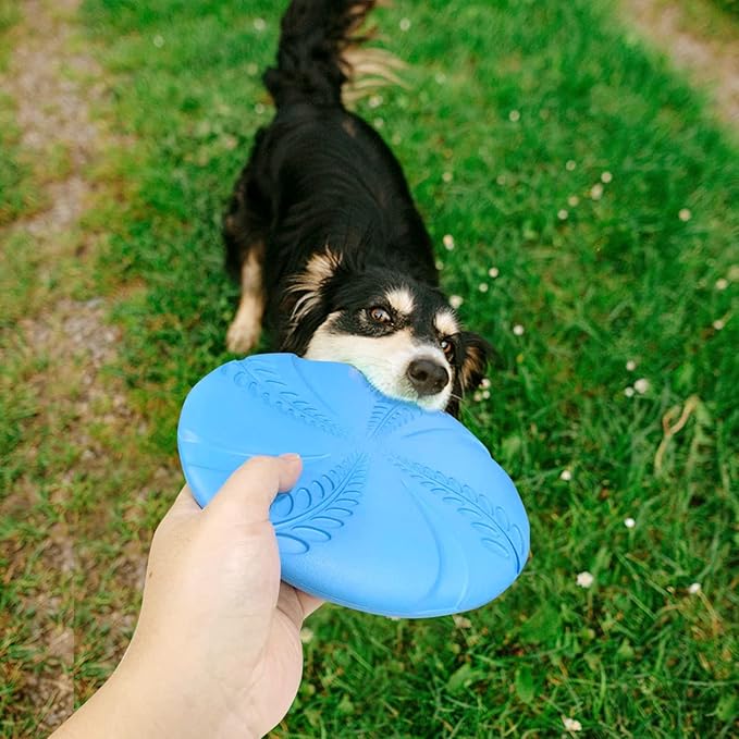Nobleza Dog Flying Disc 2 Pack，8 in Flexible Floatable Dog Disc Toy for Long-Distance Flies and Floats， Lightweight Soft Flying Discs Toy for Small Medium Large Dogs to Fetch & Catch， Blue & Green
