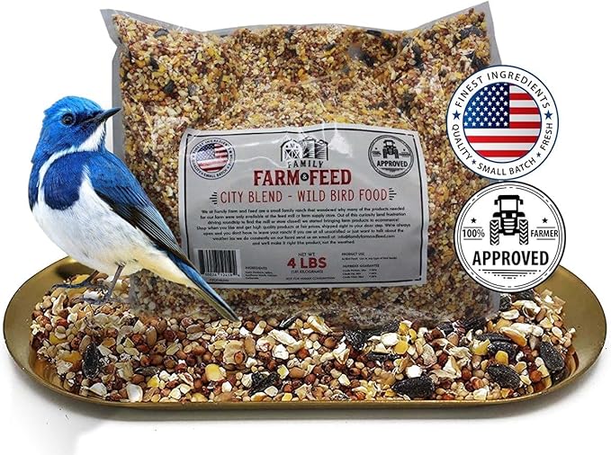 | Four Season | City Blend | Fancy Wild Bird Food | Backyard Songbird| 4 Pounds