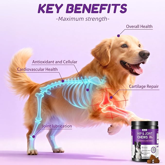 Hip and Joint Supplement Dogs, Glucosamine Chondroitin Joint Supplement for Dogs, Joint Chews for Dog Joint Pain Relief 180 Ct Chicken Flavored Fit All Breed