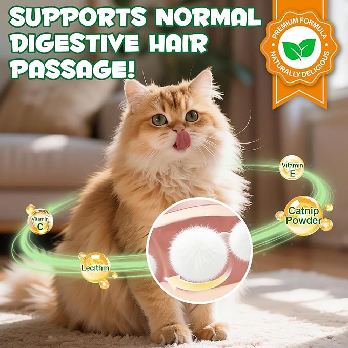 Cat Grass Treats 180g (6.35oz), Catnip Treats for Cats - Hairball Aid & Dental Care Snacks, Natural Fiber for Digestion, Crunchy Teeth Cleaning, No Artificial Additives, All Life Stages