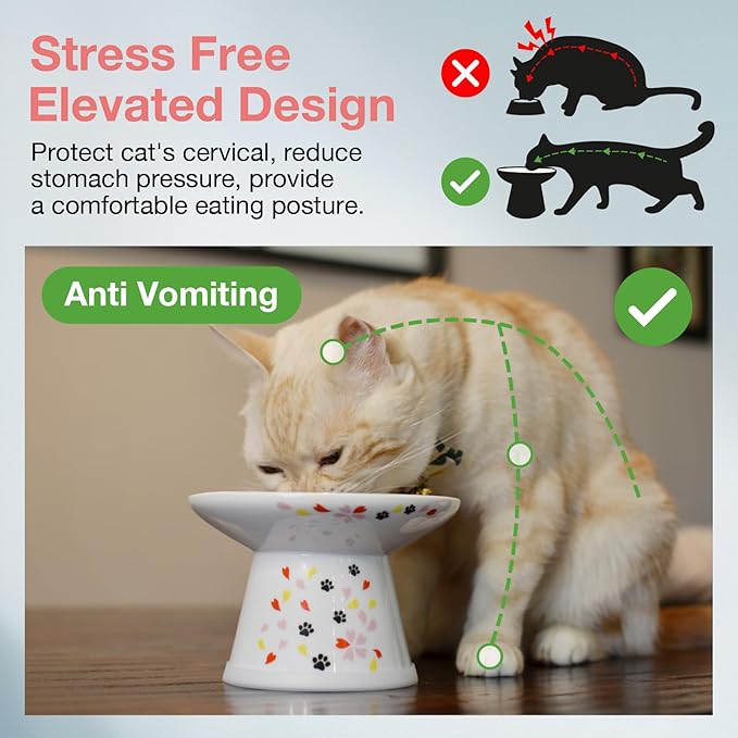 Necoichi Raised Cat Food Bowl – Ceramic Elevated Cat Bowl for Whisker & Neck Fatigue, Dishwasher Microwave Safe – Non-Slip & Anti Vomiting Ergonomic Design (Sakura Floral, Extra Wide, 2-Cups Capacity)