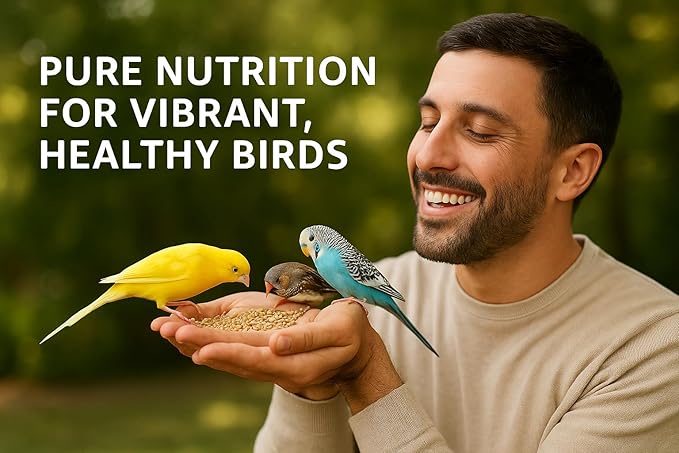 Birds Love Alpiste Canary Seed – 100% Pure, Non-GMO, Double Cleaned Food for Canaries, Finches, Budgies & Parakeets – No Additives, Bird Feed, 5 lbs