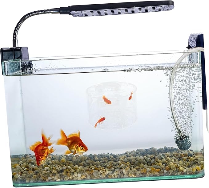 Yardwe Fish Breeding Box for Betta and Shrimp Lightweight Isolation Tank Protective Divider for Newborns and Pregnant Fish Aquarium Accessory