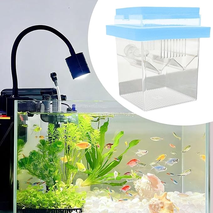 Floating Hatching Box Fish Breeding Box Fish Nursery Separation Hatchery Fish Isolation Box for Baby Fishes Shrimp,Fish Egg, Blue