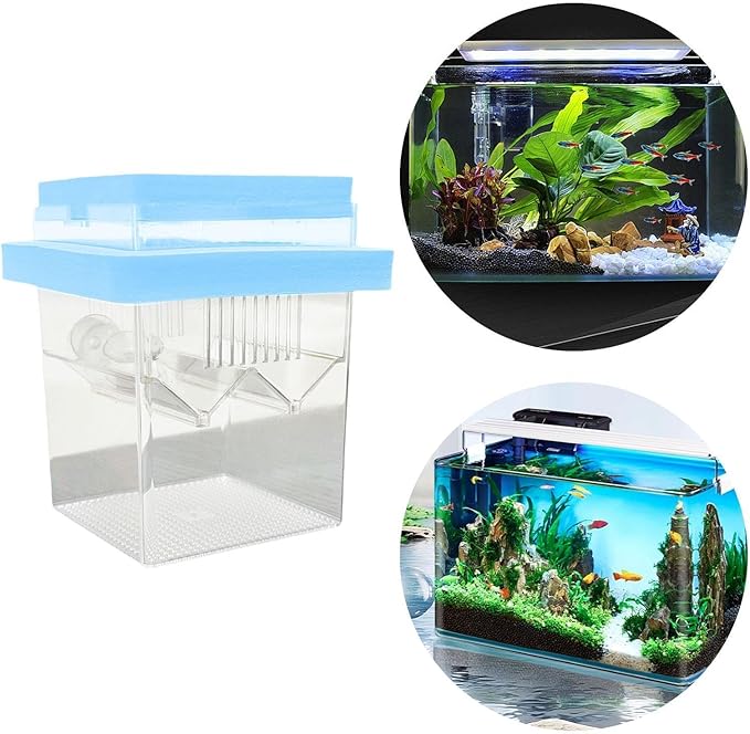 Floating Hatching Box Fish Breeding Box Fish Nursery Separation Hatchery Fish Isolation Box for Baby Fishes Shrimp,Fish Egg, Blue